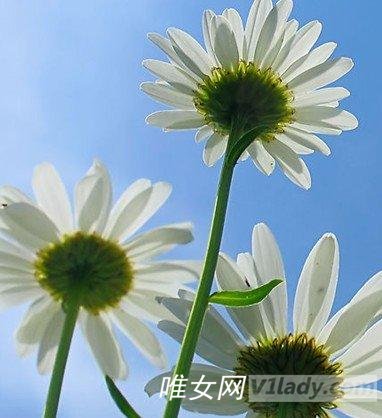 老年性低血压要怎么样防治？